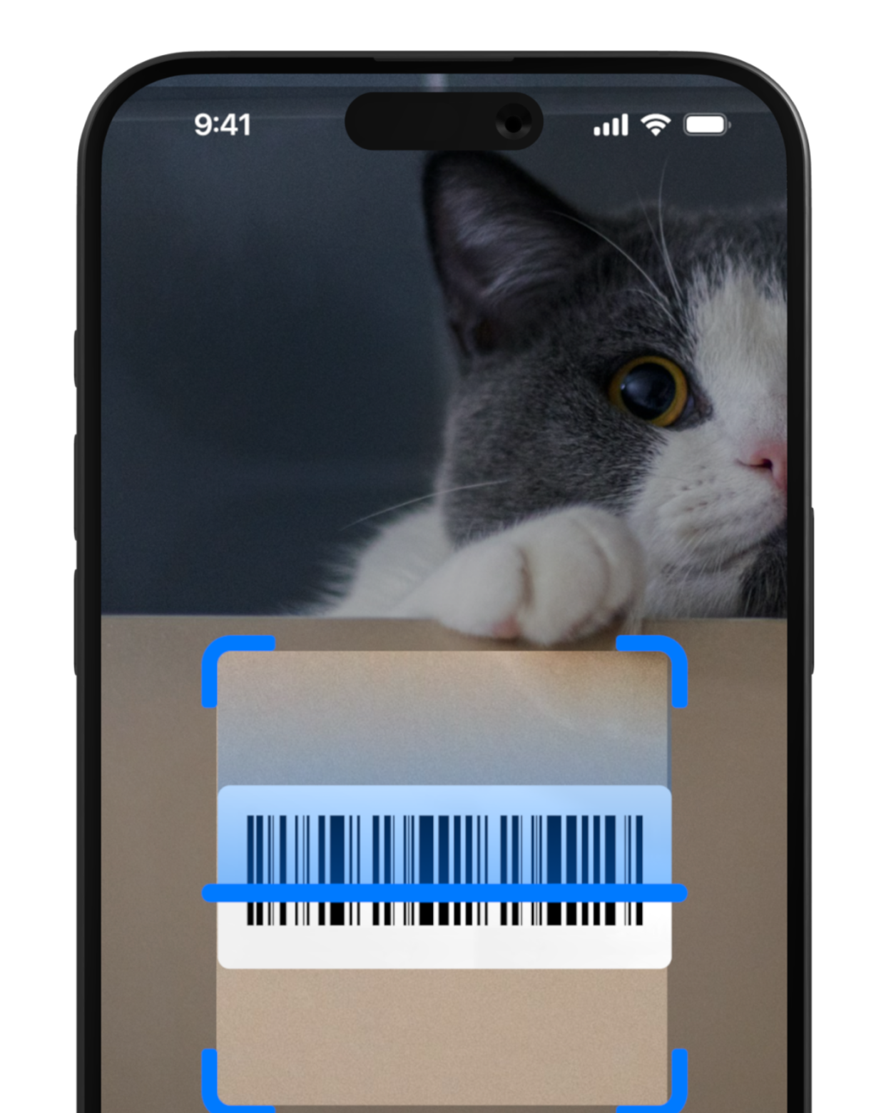 QR code generator screen on iPhone